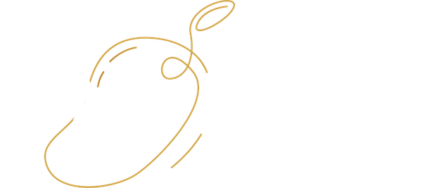 Black Mango Solutions logo
