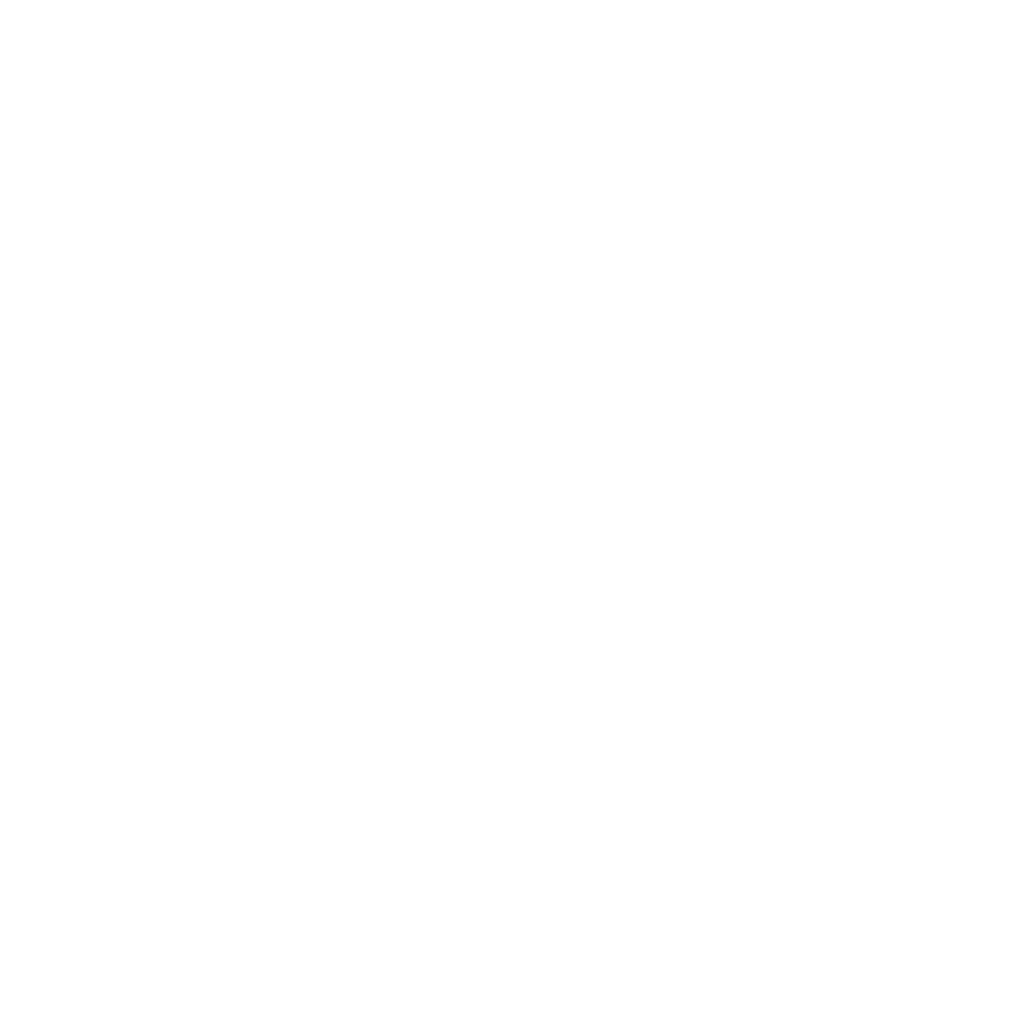 Studio LV logo